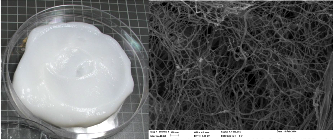 Figure. Left: Cellulose nanofibril gel produced by Masuko grinding.(Image source: Tiina Pöhler, et al., VTT (2010) Right: Scanning Electron microscope (SEM) image of cellulose nanofibrils. Scale: 100 nm (Image source: VTT).