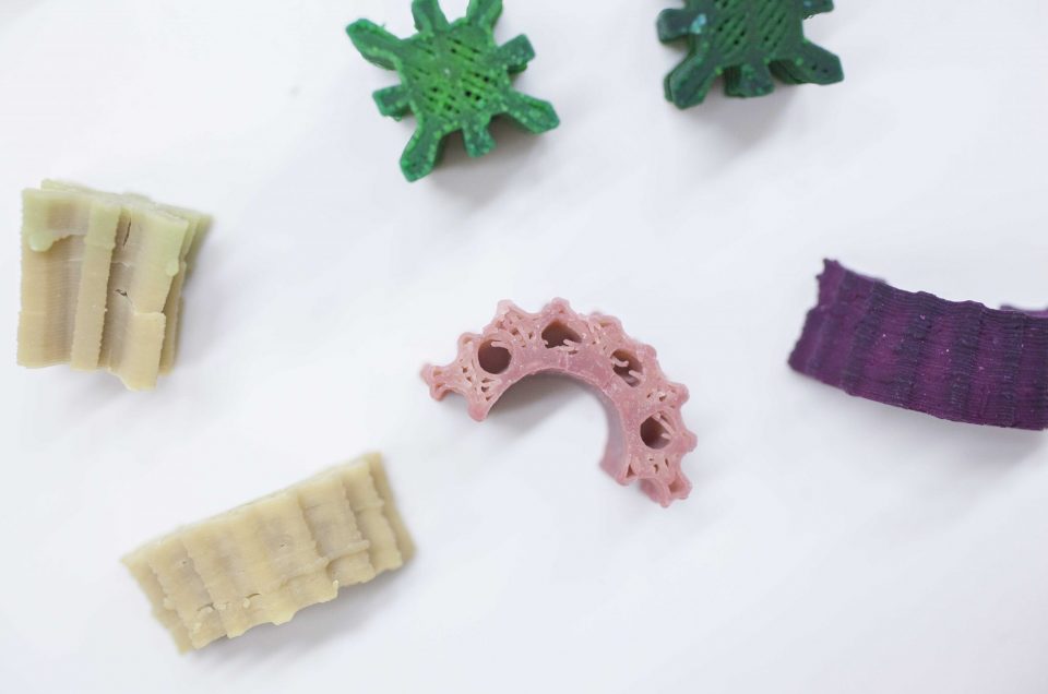 3D-PRINTING OF CELLULOSE BASED MATERIALS  BY NSCRYPT METHOD